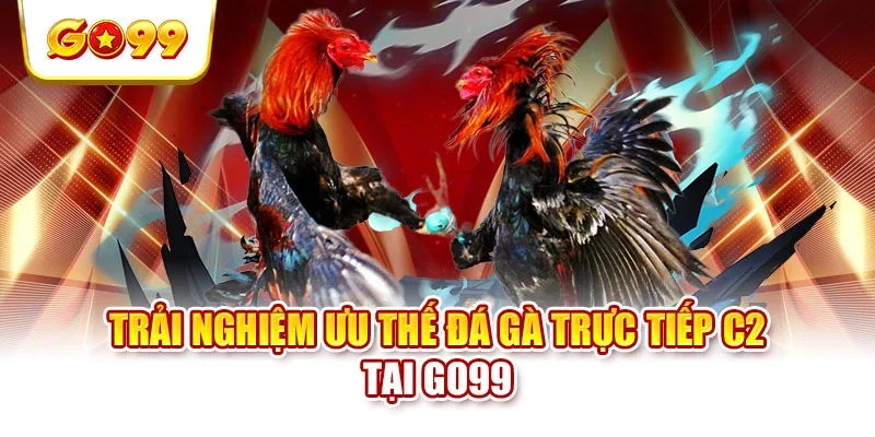 Trải nghiệm ưu thế đá gà trực tiếp C2 tại GO99 Trải nghiệm ưu thế đá gà trực tiếp C2 tại GO99